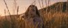 Filename=Jodelle-Ferland-Tideland-HD-screencaps-BJ_164.jpg
Filesize=664KiB
Dimensions=3840x1640
Date added=Sep 28, 2018 Jodelle-Ferland-Tideland-HD-screencaps-BJ_164.jpg